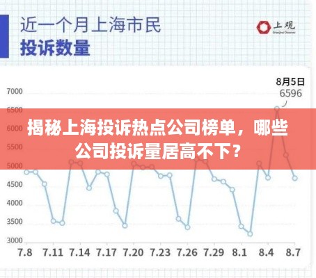 揭秘上海投诉热点公司榜单，哪些公司投诉量居高不下？