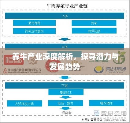 养牛产业深度解析，探寻潜力与发展趋势