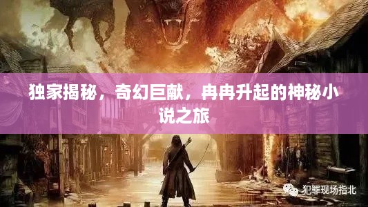 独家揭秘，奇幻巨献，冉冉升起的神秘小说之旅