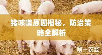 司空见惯 第2页