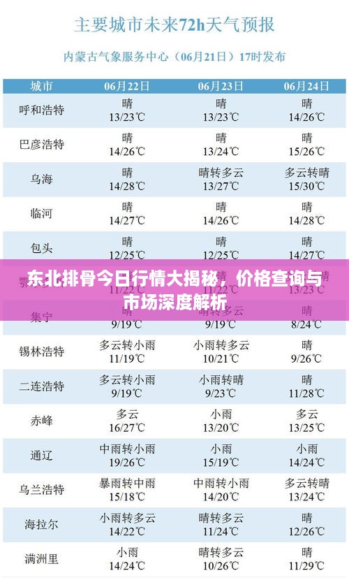 东北排骨今日行情大揭秘，价格查询与市场深度解析