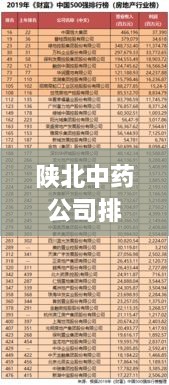 陕北中药公司排行榜及影响力解析