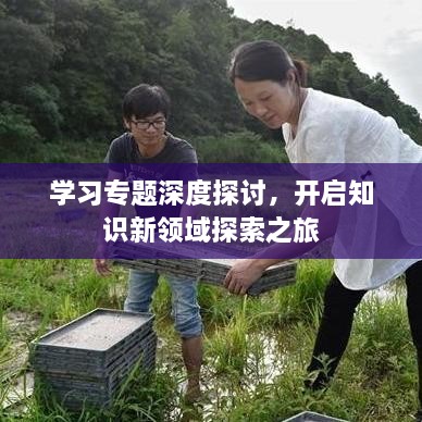 学习专题深度探讨,开启知识新领域探索之旅