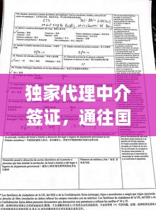 独家代理中介签证，通往国际舞台的桥梁已搭建！