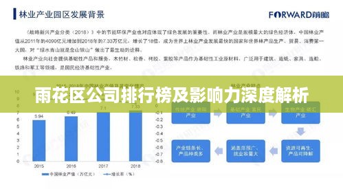 雨花区公司排行榜及影响力深度解析