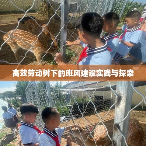 高效劳动树下的班风建设实践与探索