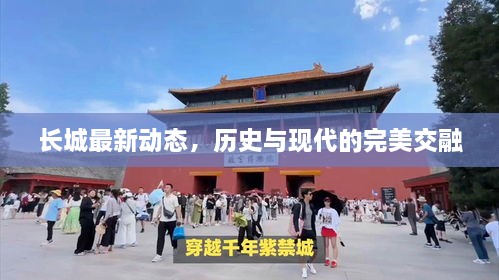 长城最新动态，历史与现代的完美交融