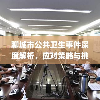 聊城市公共卫生事件深度解析，应对策略与挑战