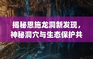 虚张声势 第2页