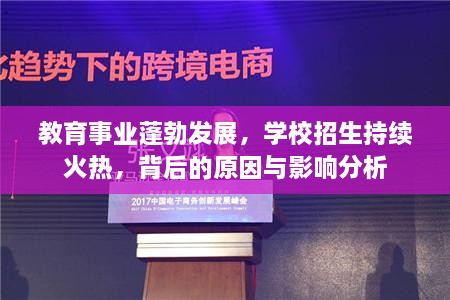 教育事业蓬勃发展，学校招生持续火热，背后的原因与影响分析