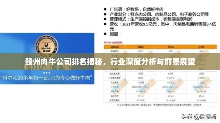 赣州肉牛公司排名揭秘，行业深度分析与前景展望