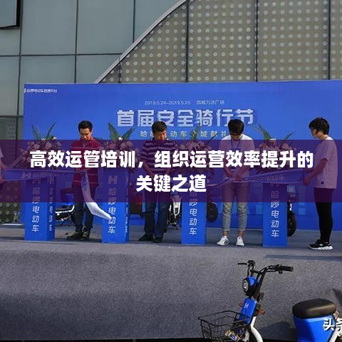 高效运管培训，组织运营效率提升的关键之道