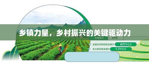乡镇力量，乡村振兴的关键驱动力