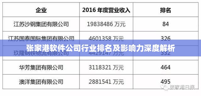 张家港软件公司行业排名及影响力深度解析