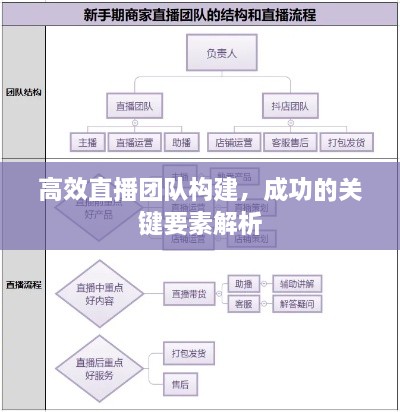 高效直播团队构建，成功的关键要素解析