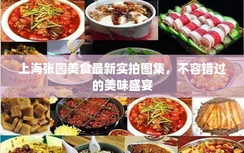 上海张园美食最新实拍图集，不容错过的美味盛宴