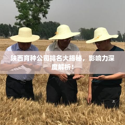 陕西育种公司排名大揭秘，影响力深度解析！