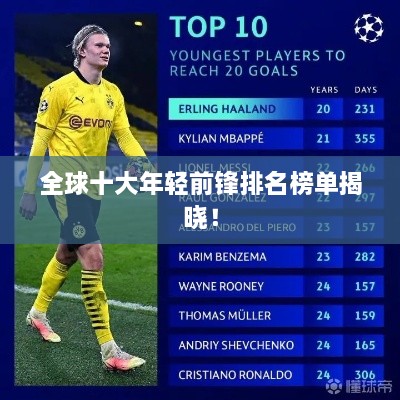 关于我们 第41页
