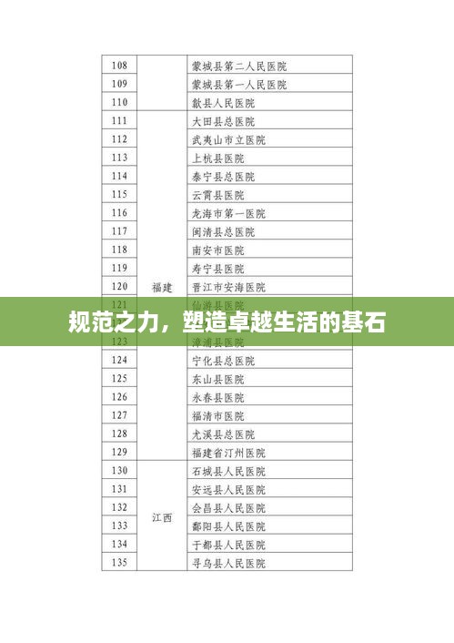 规范之力，塑造卓越生活的基石