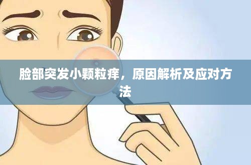 脸部突发小颗粒痒，原因解析及应对方法
