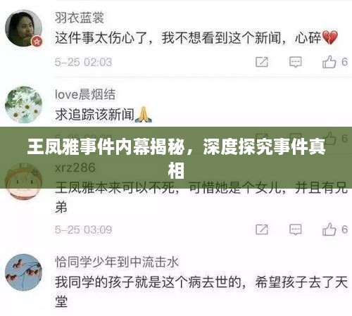 王凤雅事件内幕揭秘，深度探究事件真相