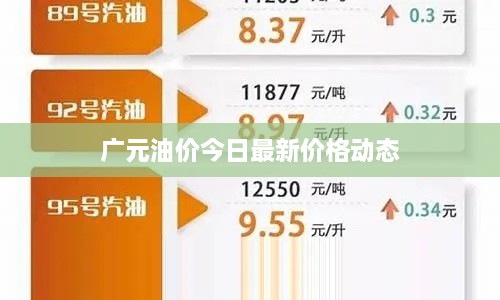 广元油价今日最新价格动态