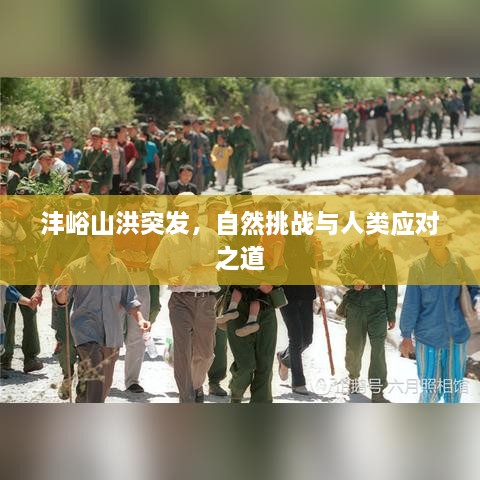 沣峪山洪突发，自然挑战与人类应对之道