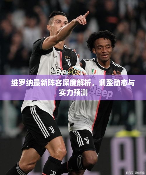 维罗纳最新阵容深度解析，调整动态与实力预测