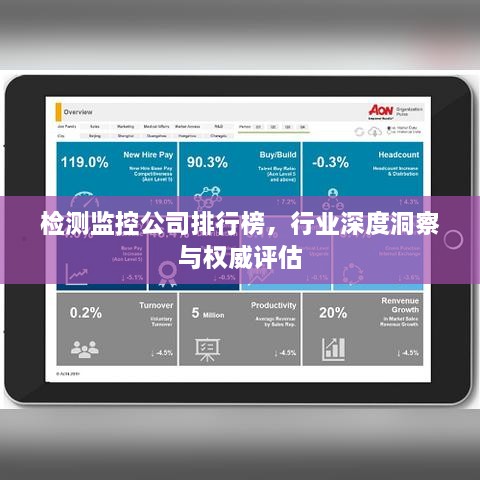 检测监控公司排行榜，行业深度洞察与权威评估