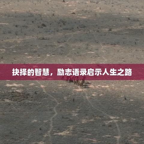 抉择的智慧，励志语录启示人生之路