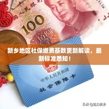 新乡地区社保缴费基数更新解读，最新标准悉知！
