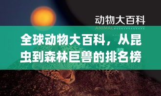 全球动物大百科，从昆虫到森林巨兽的排名榜单