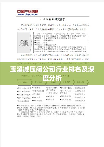 玉溪减压阀公司行业排名及深度分析