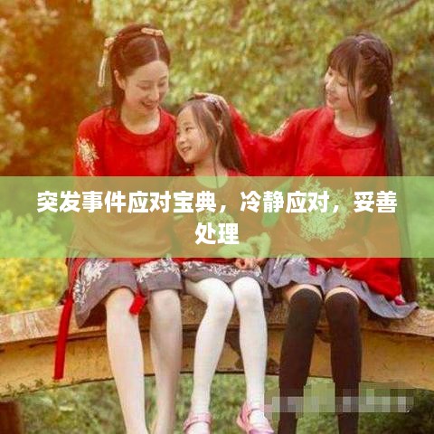 突发事件应对宝典，冷静应对，妥善处理