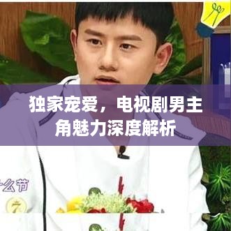 独家宠爱，电视剧男主角魅力深度解析