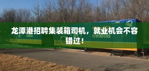 龙潭港招聘集装箱司机，就业机会不容错过！