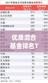优质混合基金排名TOP10，投资领域的领军者