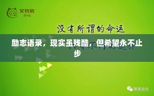 励志语录，现实虽残酷，但希望永不止步