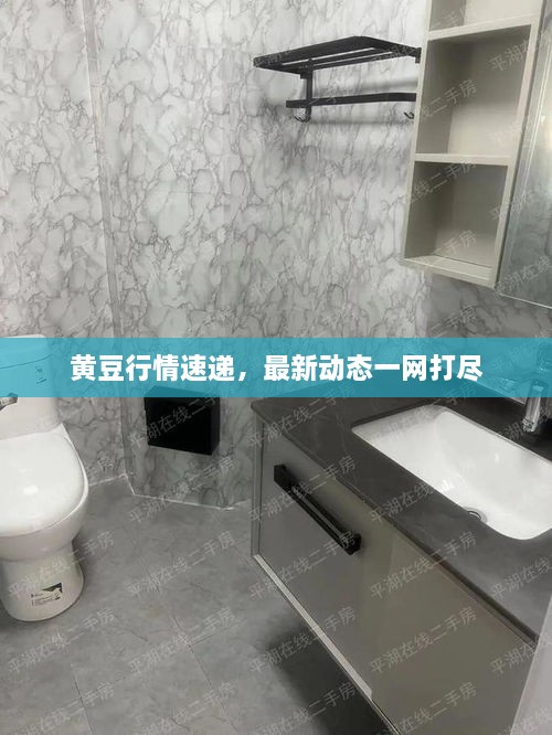 黄豆行情速递，最新动态一网打尽