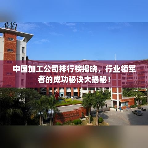 中国加工公司排行榜揭晓，行业领军者的成功秘诀大揭秘！