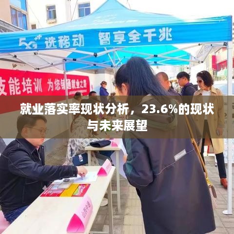 就业落实率现状分析，23.6%的现状与未来展望