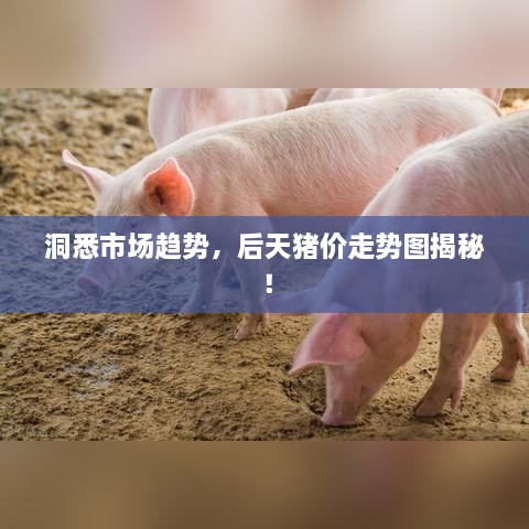 洞悉市场趋势，后天猪价走势图揭秘！