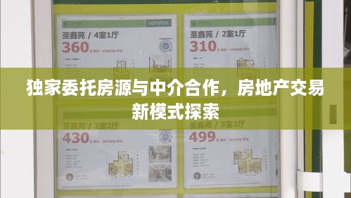 独家委托房源与中介合作，房地产交易新模式探索
