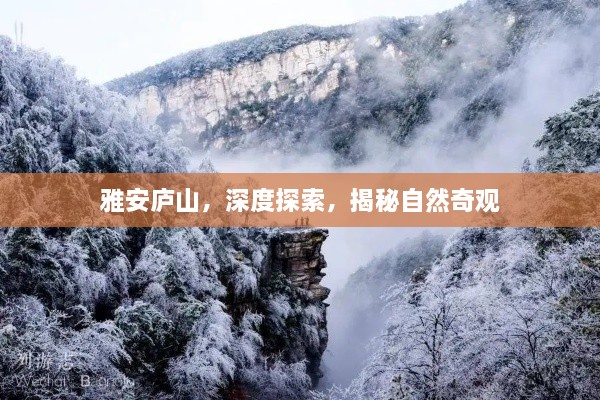 雅安庐山，深度探索，揭秘自然奇观