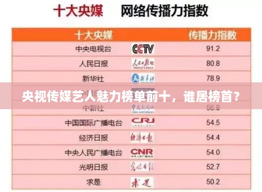 央视传媒艺人魅力榜单前十，谁居榜首？