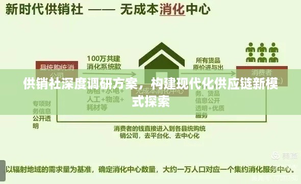 供销社深度调研方案，构建现代化供应链新模式探索