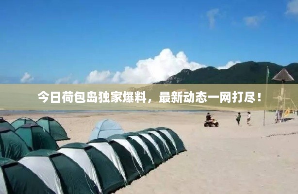 今日荷包岛独家爆料，最新动态一网打尽！