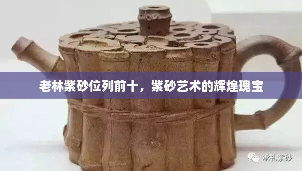老林紫砂位列前十，紫砂艺术的辉煌瑰宝