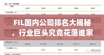 FIL国内公司排名大揭秘，行业巨头究竟花落谁家？