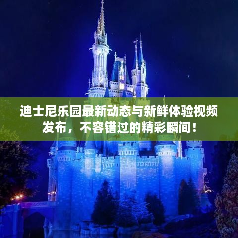 迪士尼乐园最新动态与新鲜体验视频发布，不容错过的精彩瞬间！